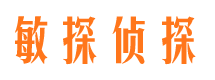 浏阳市侦探调查公司